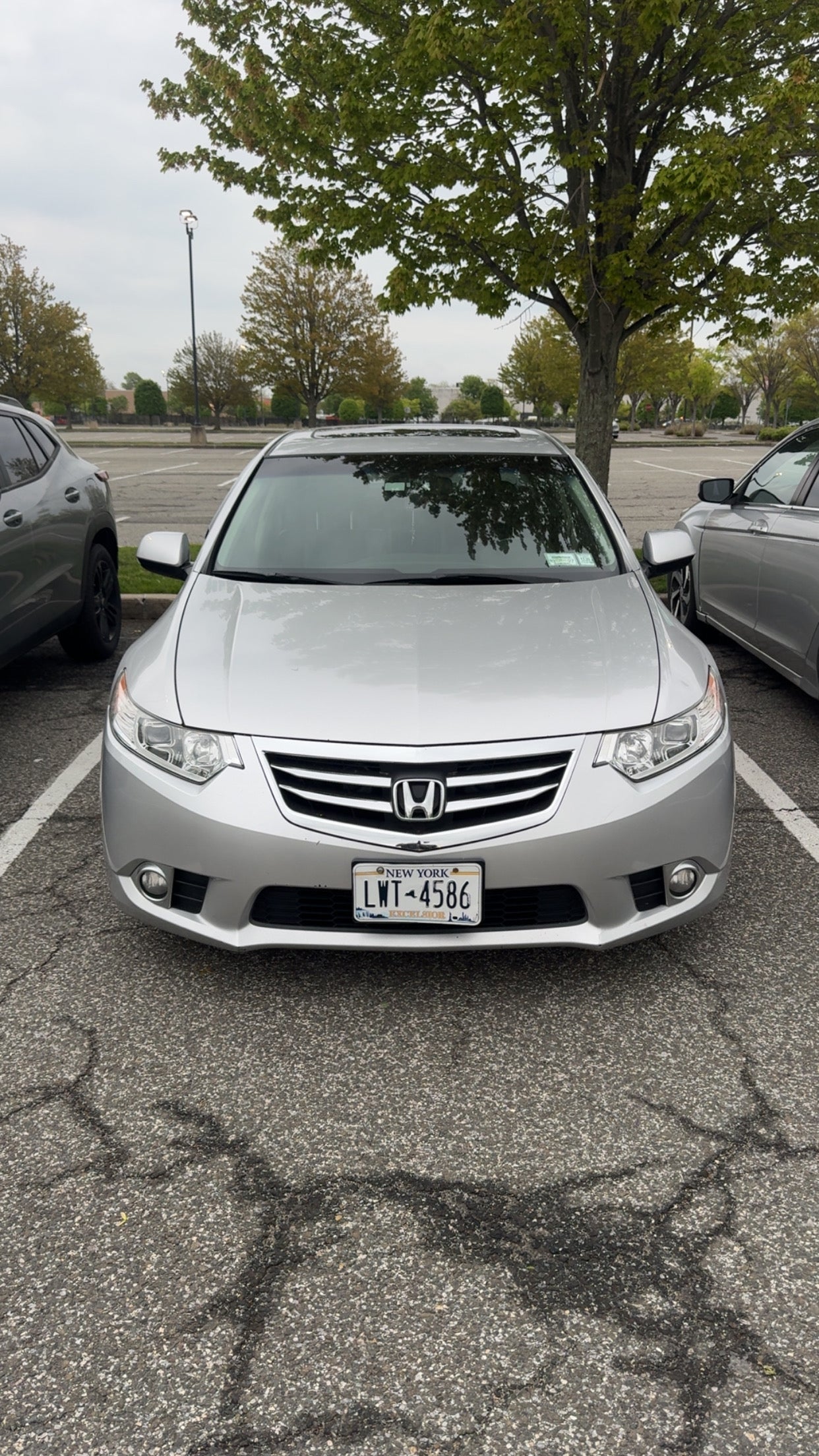 Acura Grille